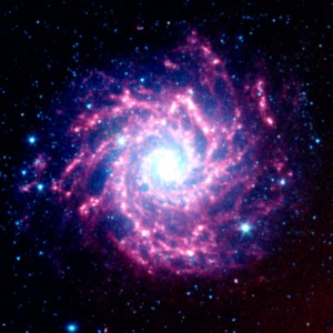 Supernova Dust Factory in M74