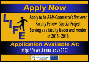 Faculty Fellow - Special Project Application Now Available